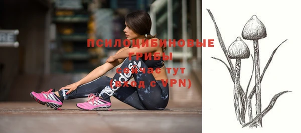 твердый Магадан