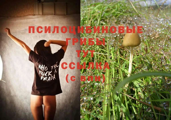 твердый Магадан