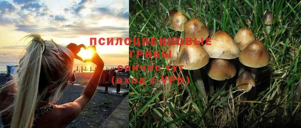 винт Майский
