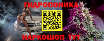 mdpv Заводоуковск