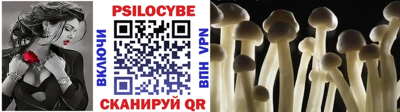 Галлюциногенные грибы MAGIC MUSHROOMS  закладка  Заринск 