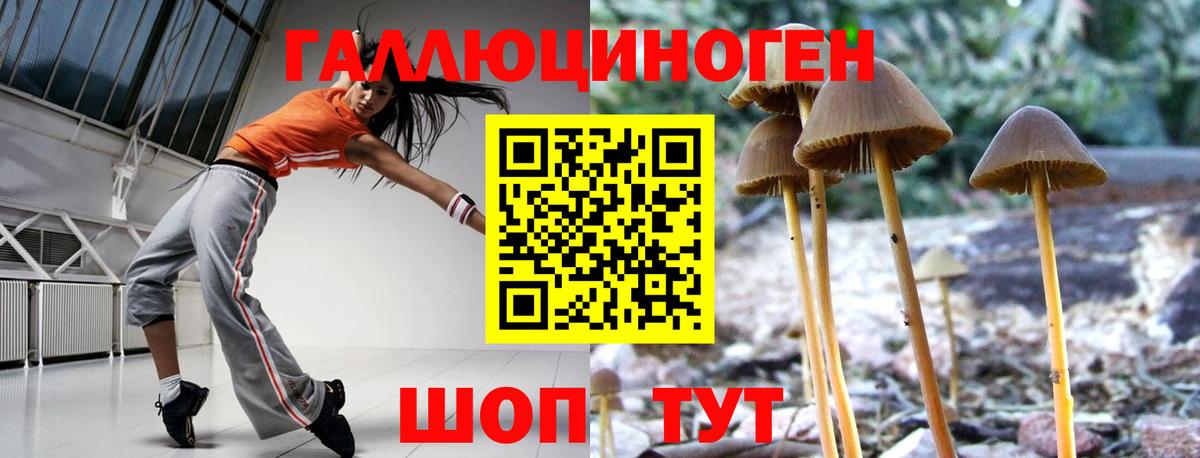 Галлюциногенные грибы MAGIC MUSHROOMS  Вход с VPN  Заринск 