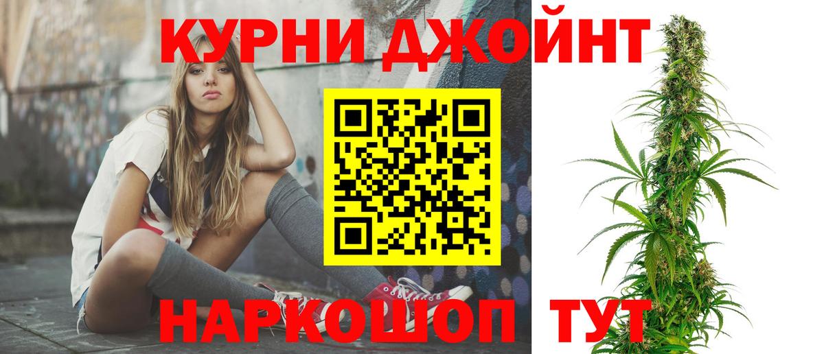 Конопля гибрид Заринск